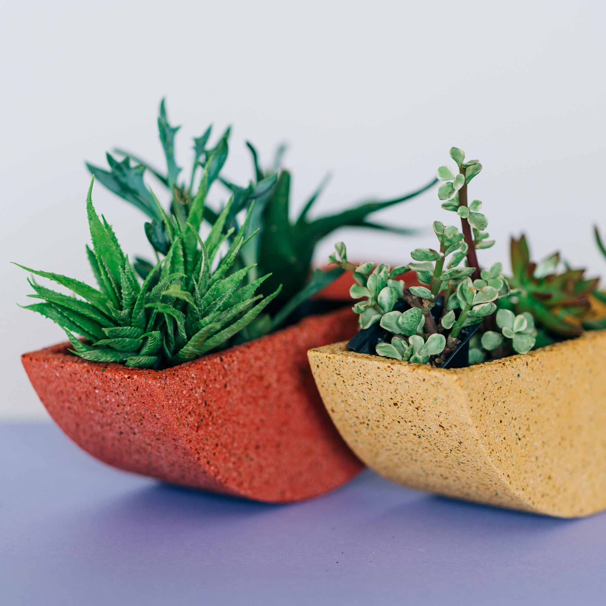 Planters + Vases