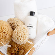 Natural Sea Sponge - pretti.cool