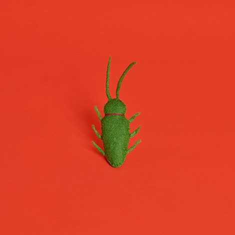 Wool Bug Cat Toy - Pretti.Cool