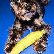 Banana Dog Toy - pretti.cool