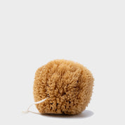 Natural Sea Sponge - pretti.cool