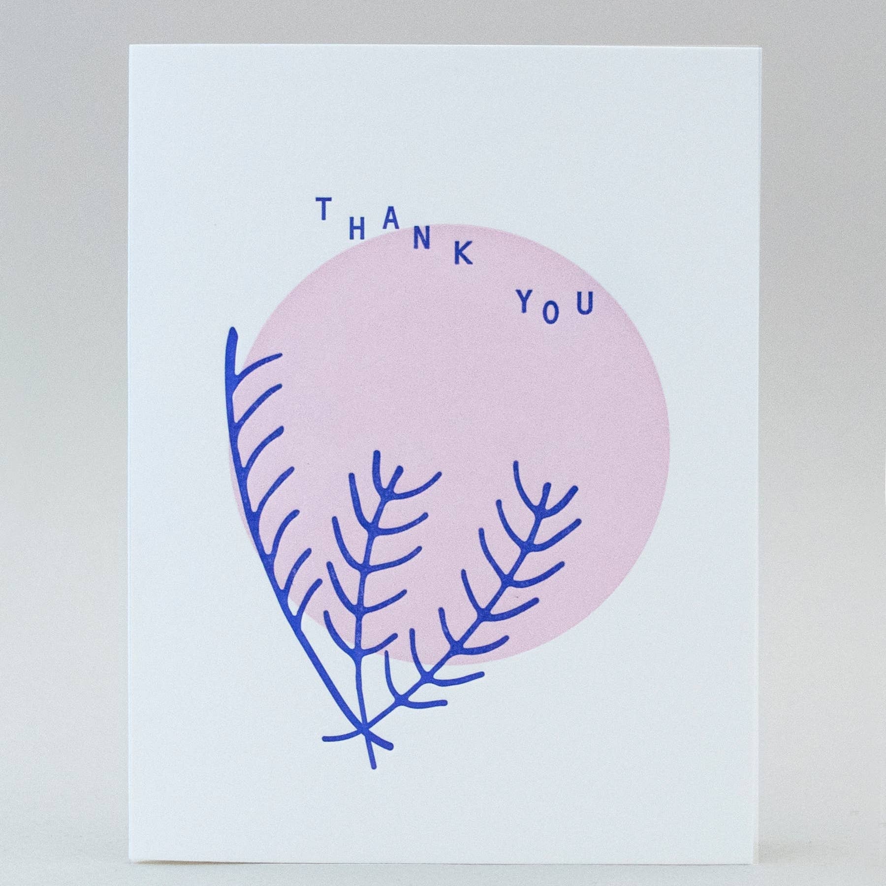 Blue Pine TY Card - pretti.cool