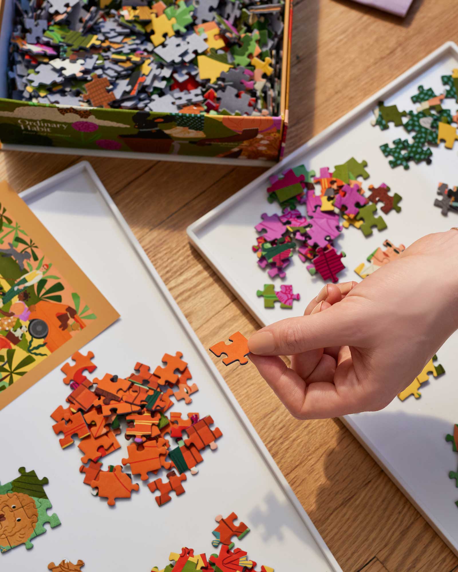 Poodle Society Puzzle