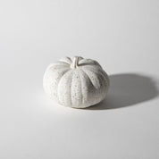Mini Pumpkin | White Terrazzo - Pretti.Cool