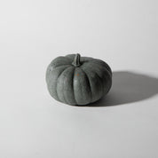 Mini Pumpkin | Dark Green Terrazzo - Pretti.Cool