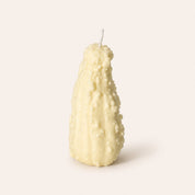 Crookneck Candle | White - Pretti.Cool