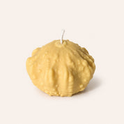 Shell Gourd Candle | Golden - Pretti.Cool
