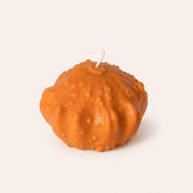 Shell Gourd Candle | Orange - Pretti.Cool