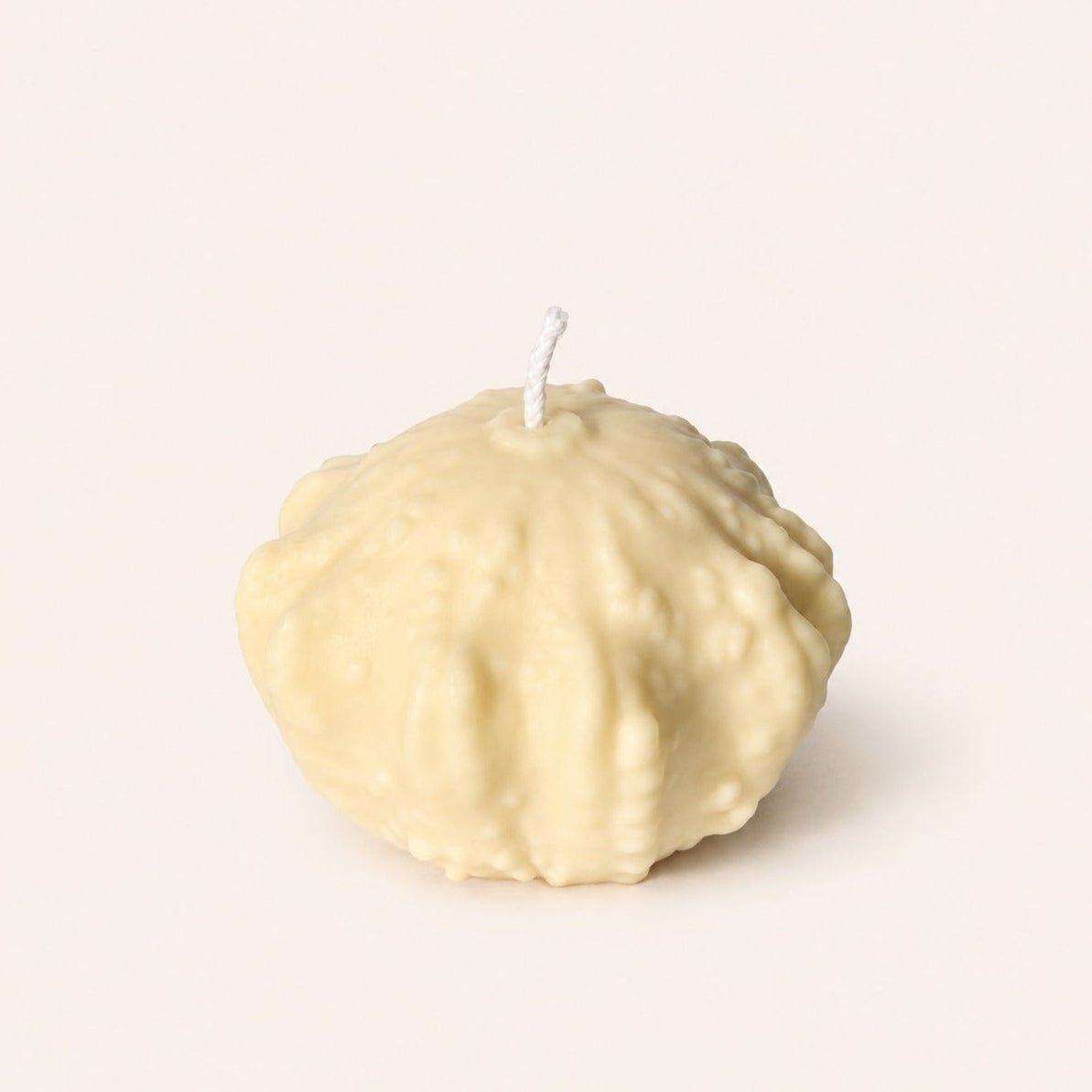 Shell Gourd Candle | White - Pretti.Cool