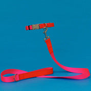 Pink/Orange Collar & Leash - pretti.cool