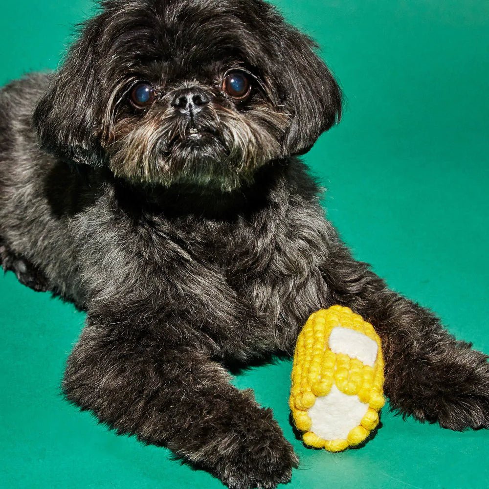 Corn Dog Toy - pretti.cool