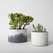 5" Vessels - pretti.cool
