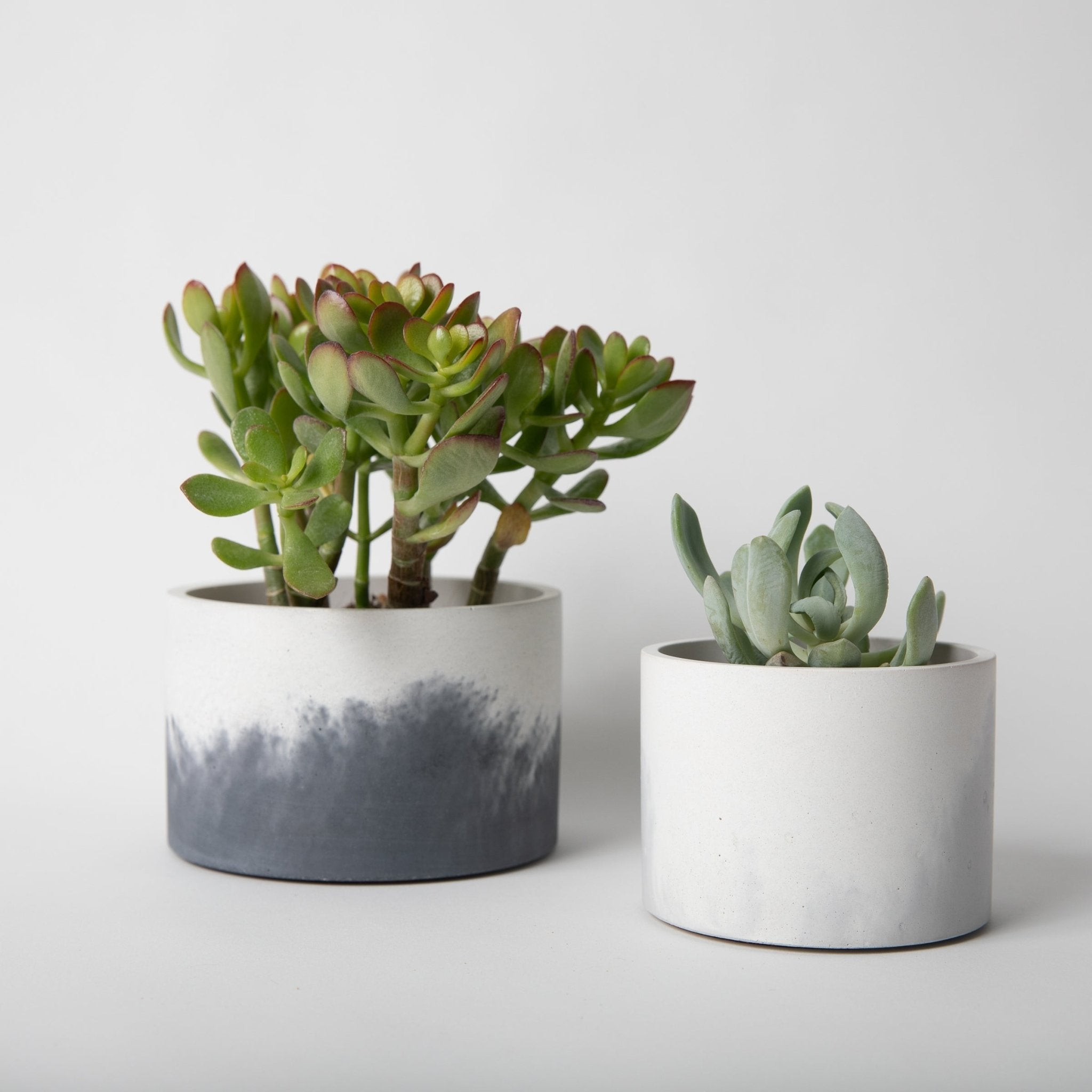 5" Vessels - pretti.cool