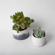 4" Vessels - pretti.cool